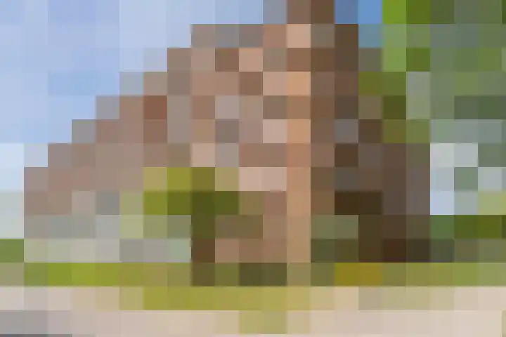 Prinses Ireneplateau 107 Utrecht thumbnail 42