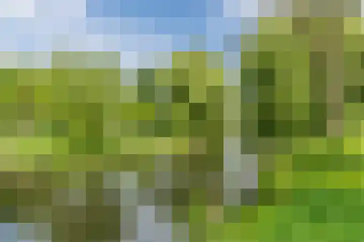 Prinses Ireneplateau 107 Utrecht thumbnail 43