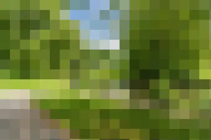 Prinses Ireneplateau 107 Utrecht thumbnail 44