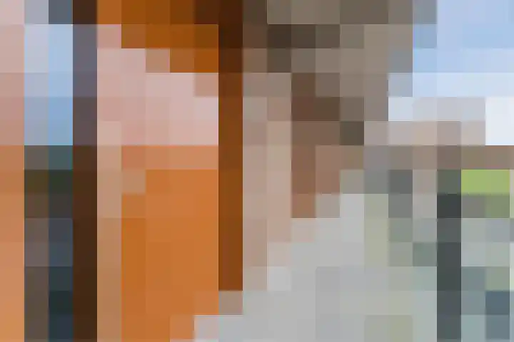 Prinses Ireneplateau 107 Utrecht thumbnail 7