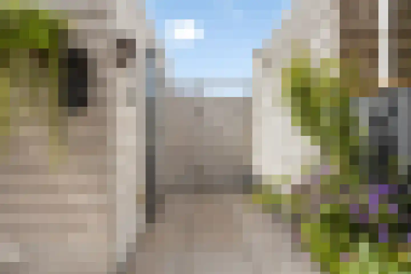 Prinses Ireneplateau 124 Utrecht thumbnail 31
