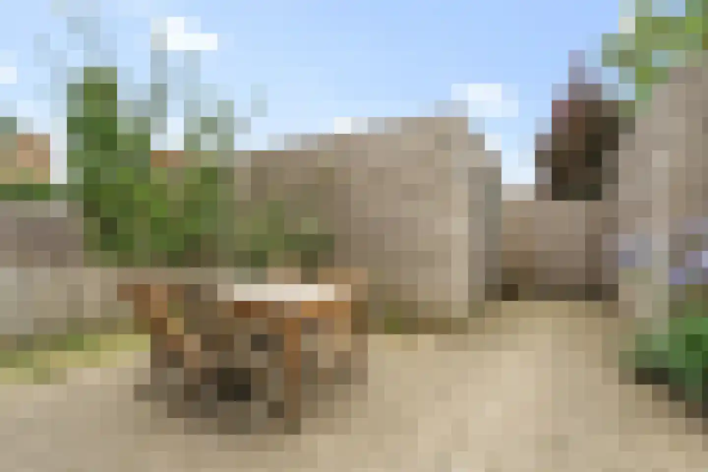 Prinses Ireneplateau 127 Utrecht thumbnail 18