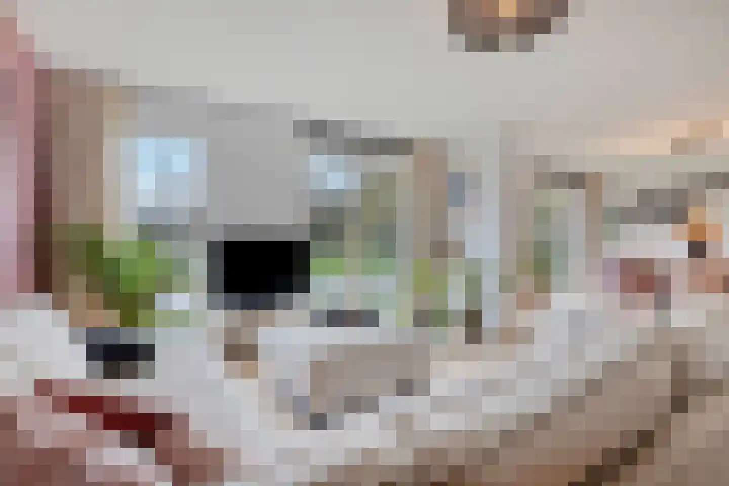 Prinses Ireneplateau 3 Utrecht thumbnail 18