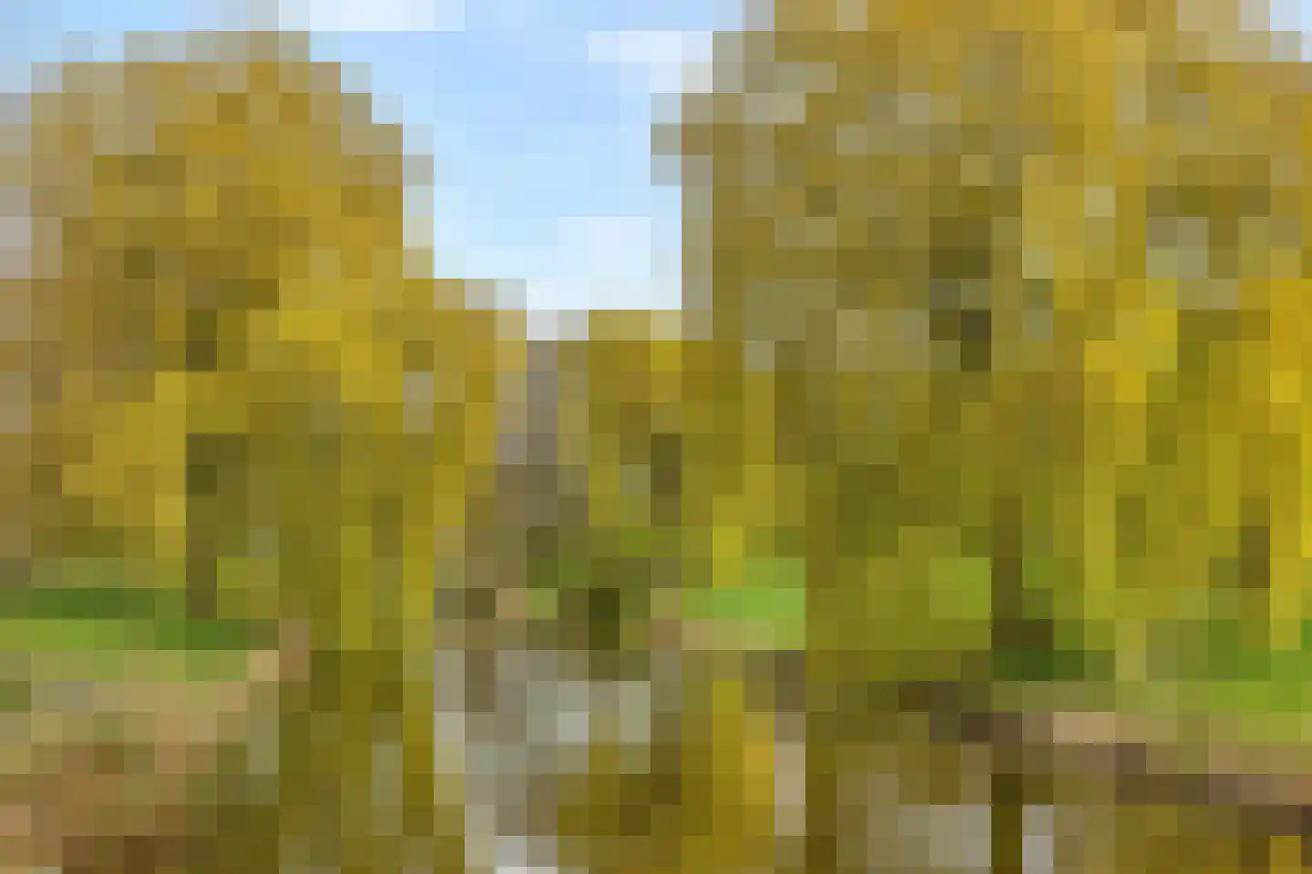 Prinses Ireneplateau 3 Utrecht thumbnail 55