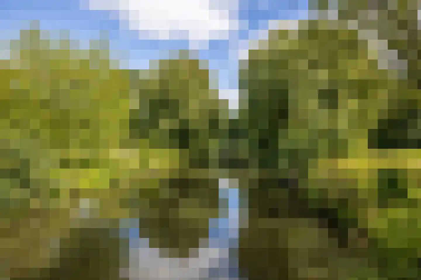 Prinses Ireneplateau 30 Utrecht thumbnail 23