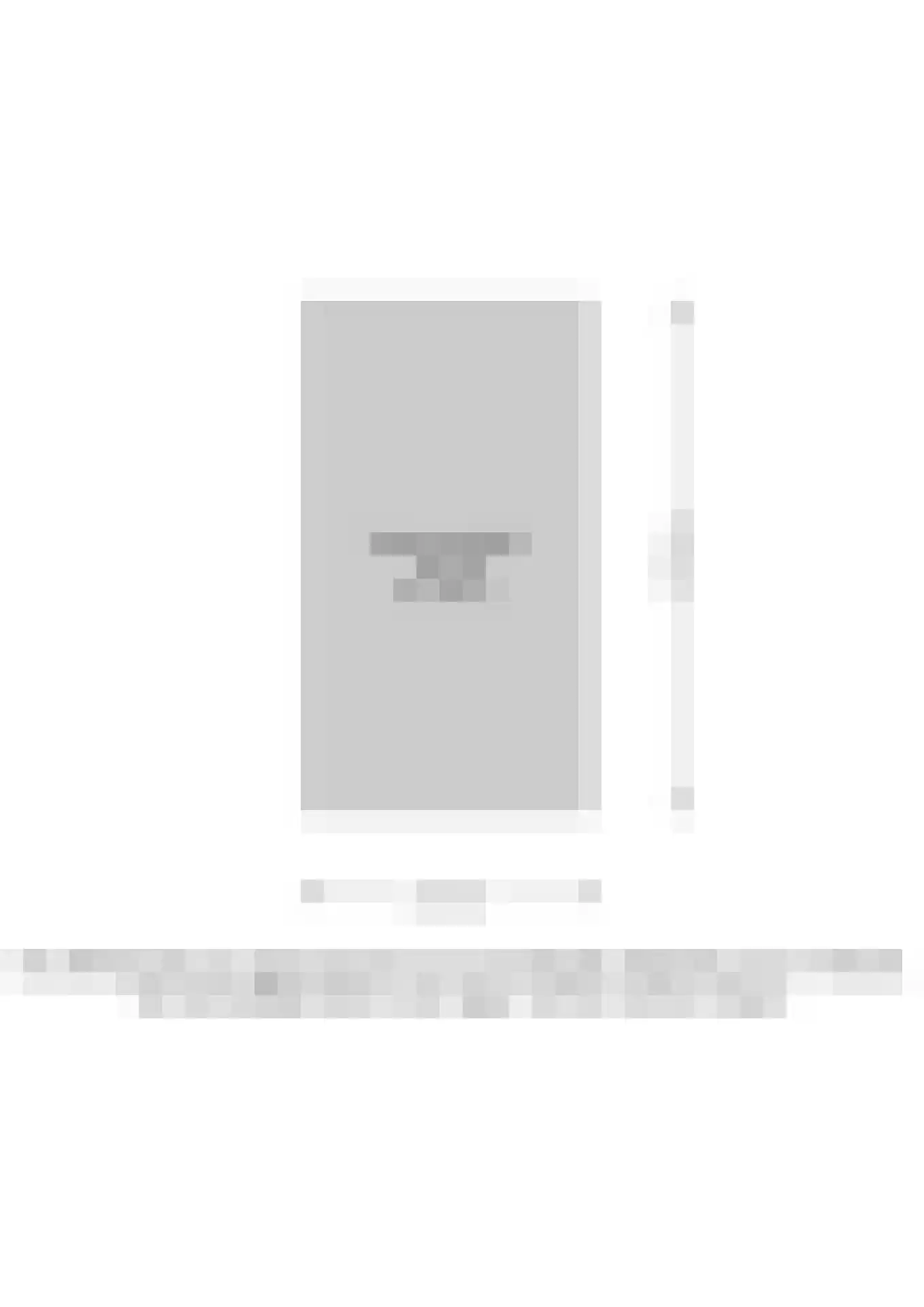 Prinses Ireneplateau 30 Utrecht thumbnail 34