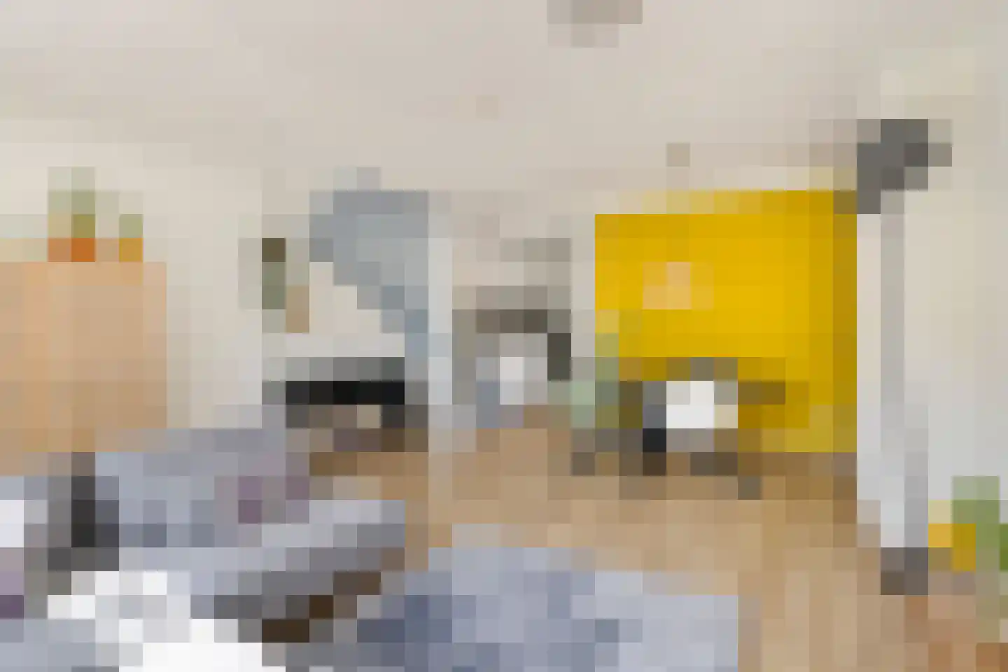 Prinses Ireneplateau 30 Utrecht thumbnail 8