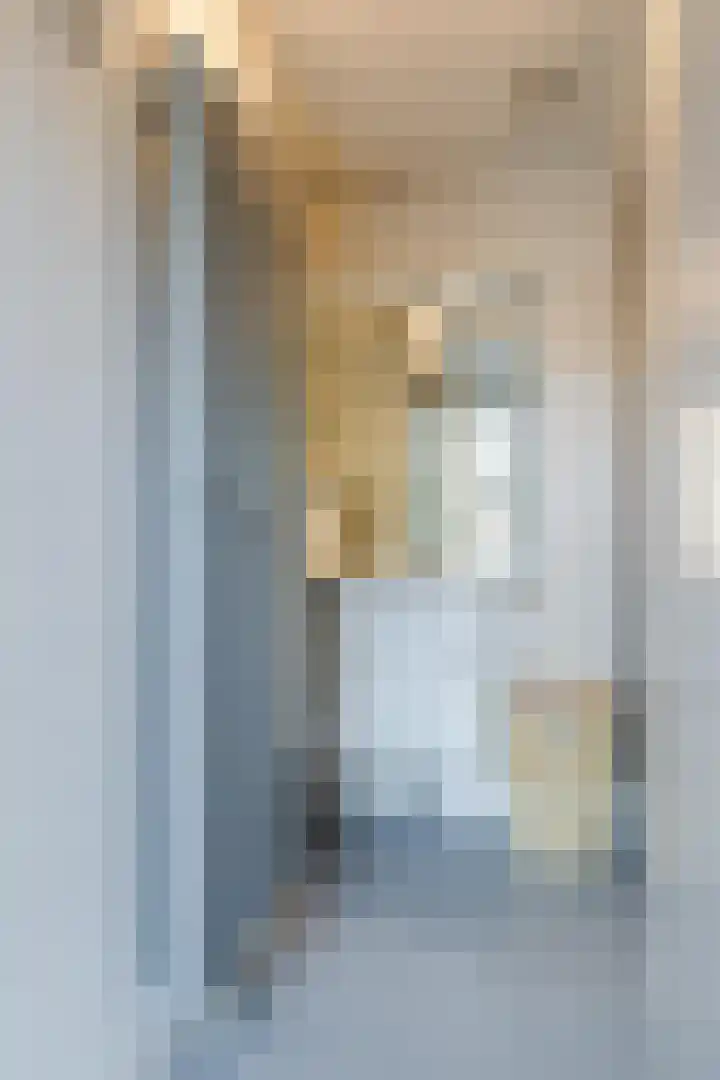 Prinses Ireneplateau 54 Utrecht thumbnail 30