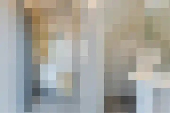 Prinses Ireneplateau 54 Utrecht thumbnail 32