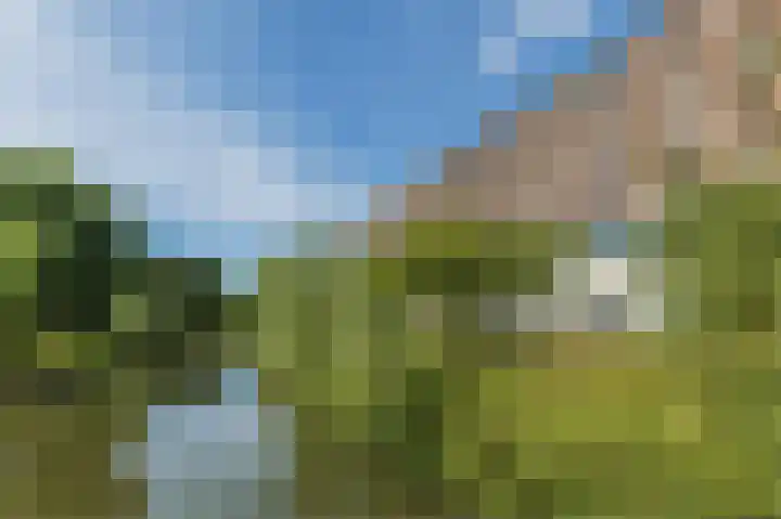 Prinses Ireneplateau 54 Utrecht thumbnail 48