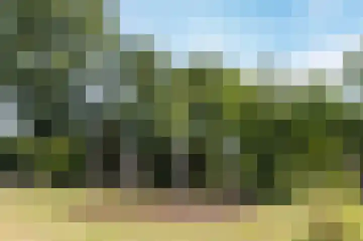 Prinses Ireneplateau 54 Utrecht thumbnail 49