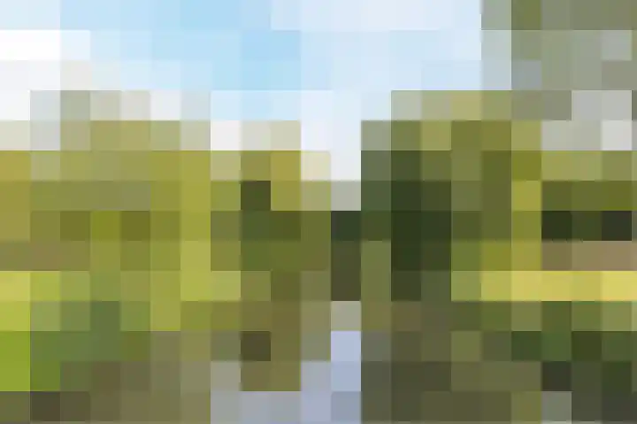 Prinses Ireneplateau 54 Utrecht thumbnail 52