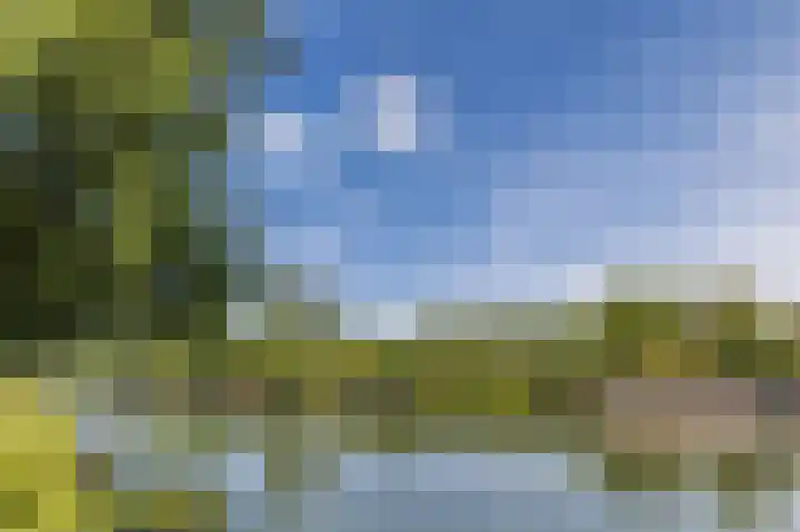 Prinses Ireneplateau 54 Utrecht thumbnail 54