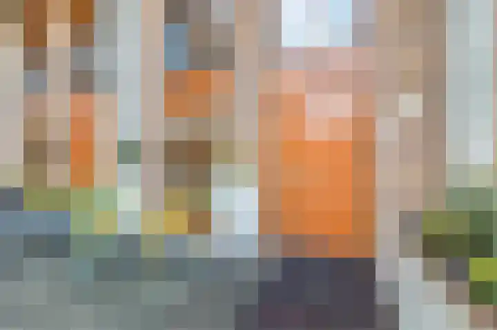 Prinses Ireneplateau 54 Utrecht thumbnail 6