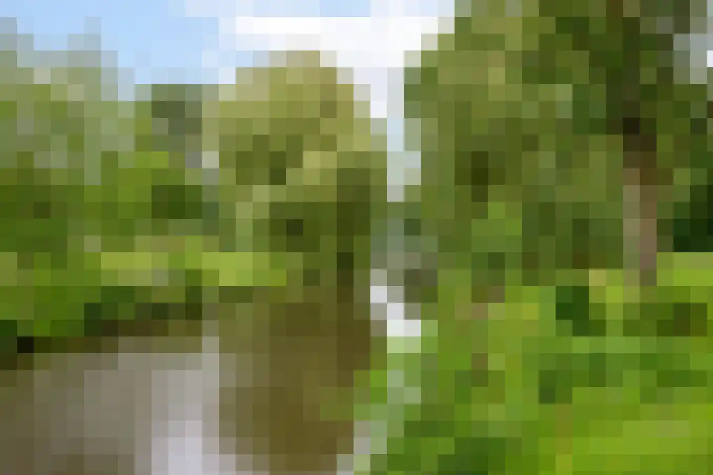 Prinses Ireneplateau 56 Utrecht thumbnail 30