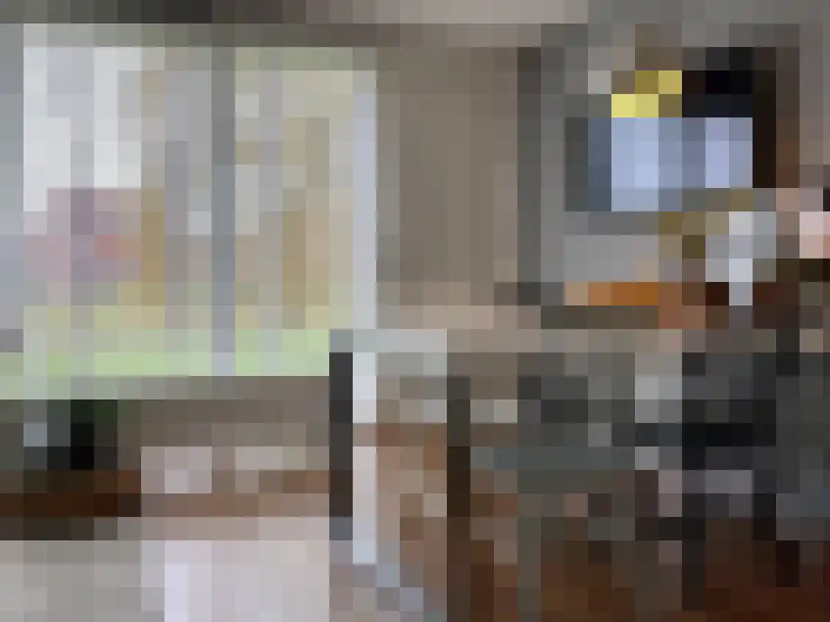 Prinses Ireneplateau 56 Utrecht thumbnail 6