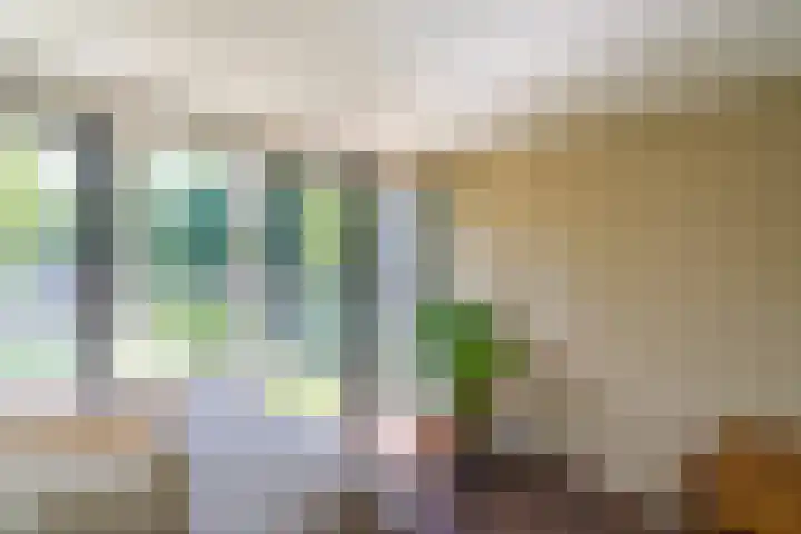 Prinses Ireneplateau 69 Utrecht thumbnail 17