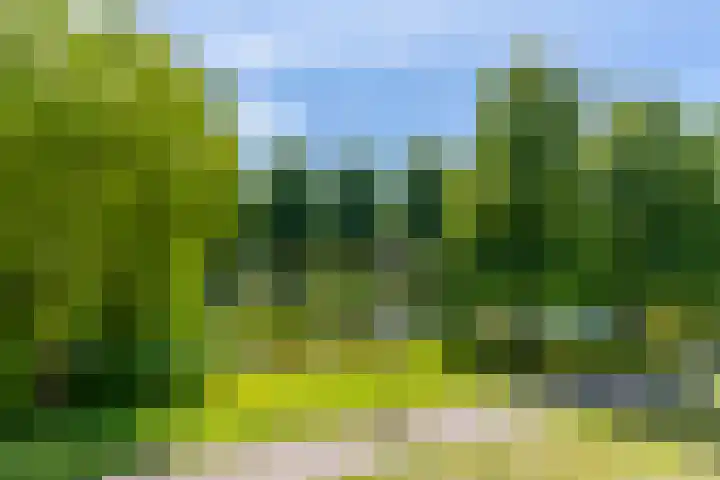 Prinses Ireneplateau 69 Utrecht thumbnail 18