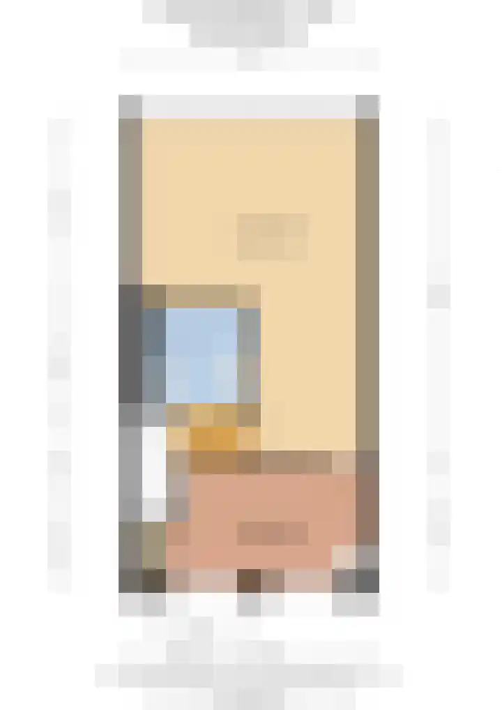 Prinses Ireneplateau 69 Utrecht thumbnail 41