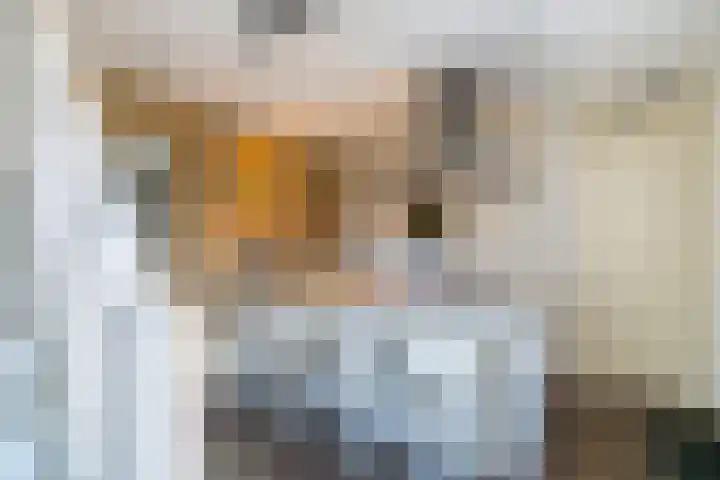 Prinses Ireneplateau 69 Utrecht thumbnail 9