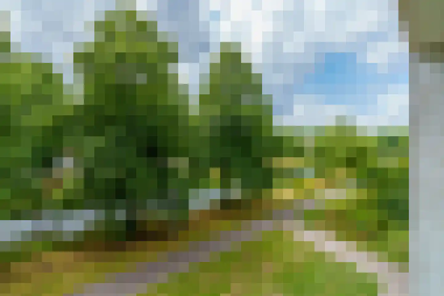 Prinses Ireneplateau 70 Utrecht thumbnail 24