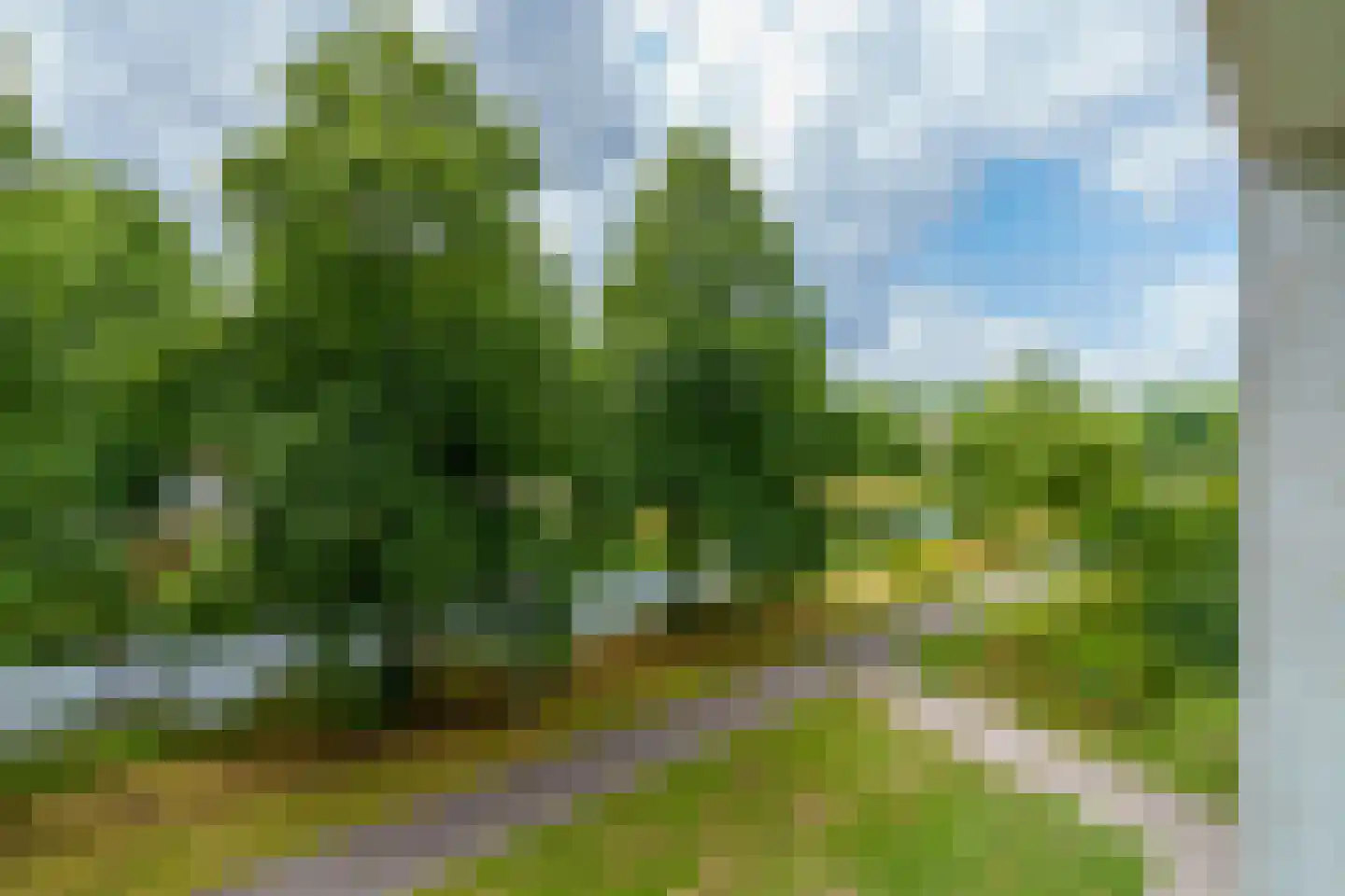 Prinses Ireneplateau 70 Utrecht thumbnail 25