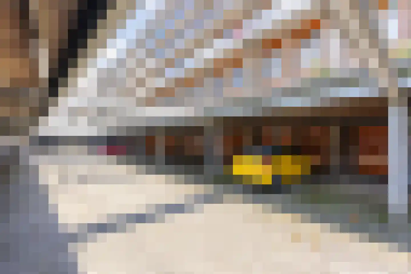 Prinses Ireneplateau 70 Utrecht thumbnail 39