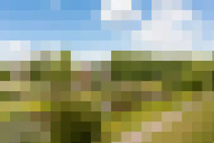 Prinses Ireneplateau 76 Utrecht thumbnail 36