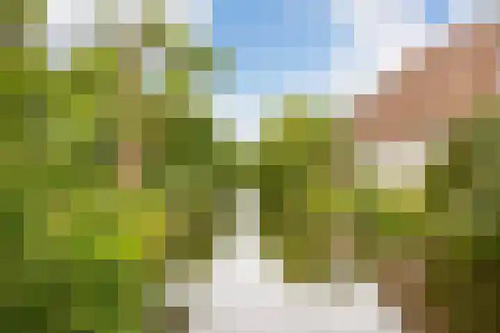 Prinses Ireneplateau 76 Utrecht thumbnail 37