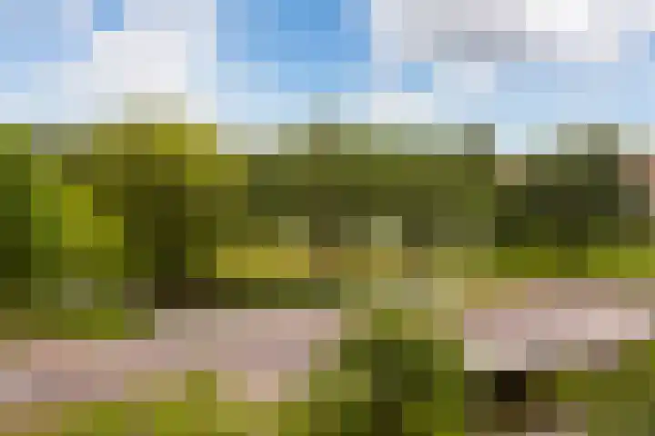 Prinses Ireneplateau 76 Utrecht thumbnail 38