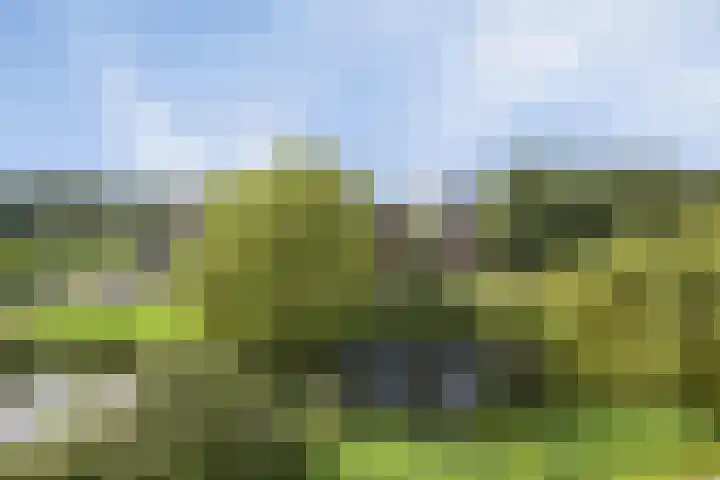 Prinses Ireneplateau 76 Utrecht thumbnail 39
