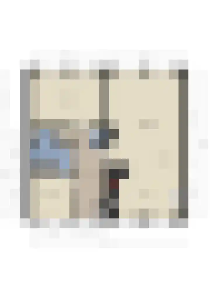 Prinses Ireneplateau 76 Utrecht thumbnail 40