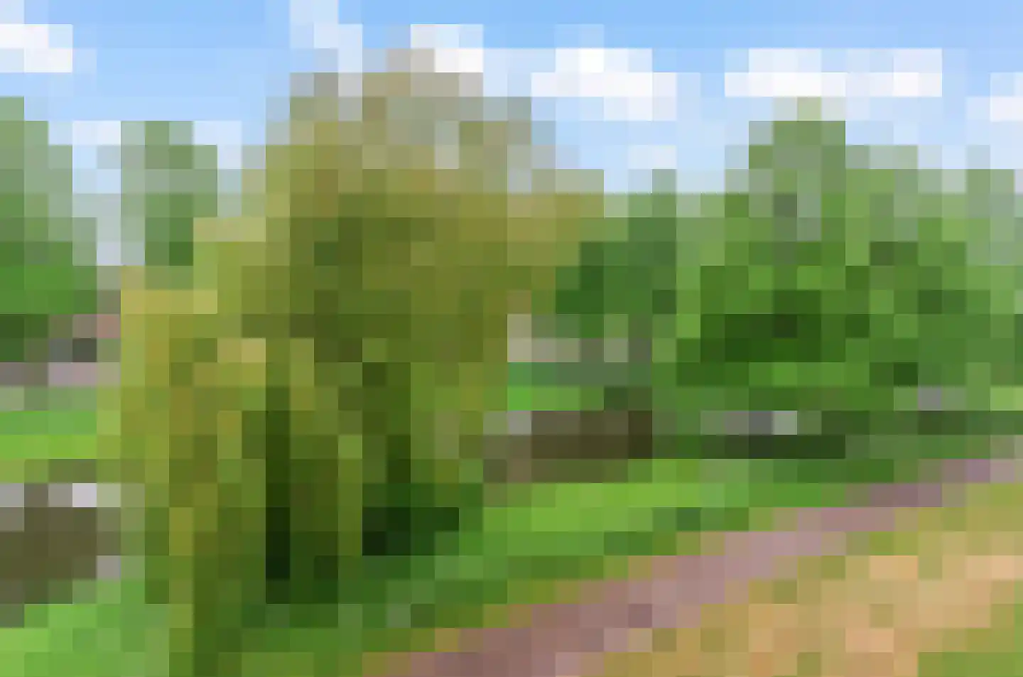 Prinses Ireneplateau 83 Utrecht thumbnail 10