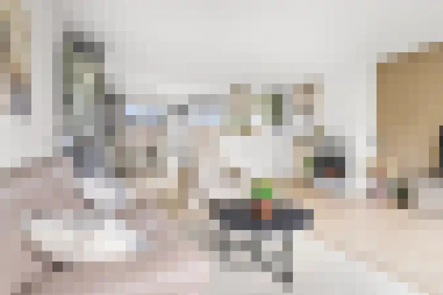 Prinses Ireneplateau 83 Utrecht thumbnail 13