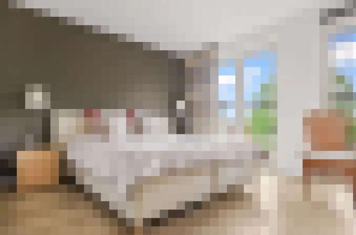Prinses Ireneplateau 83 Utrecht thumbnail 22