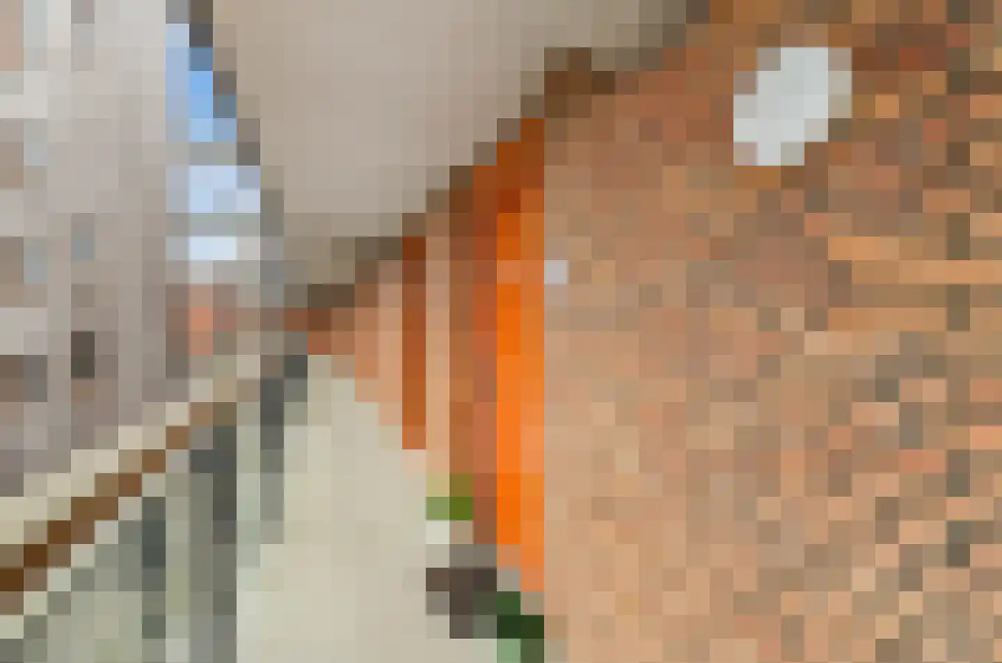Prinses Ireneplateau 83 Utrecht thumbnail 34