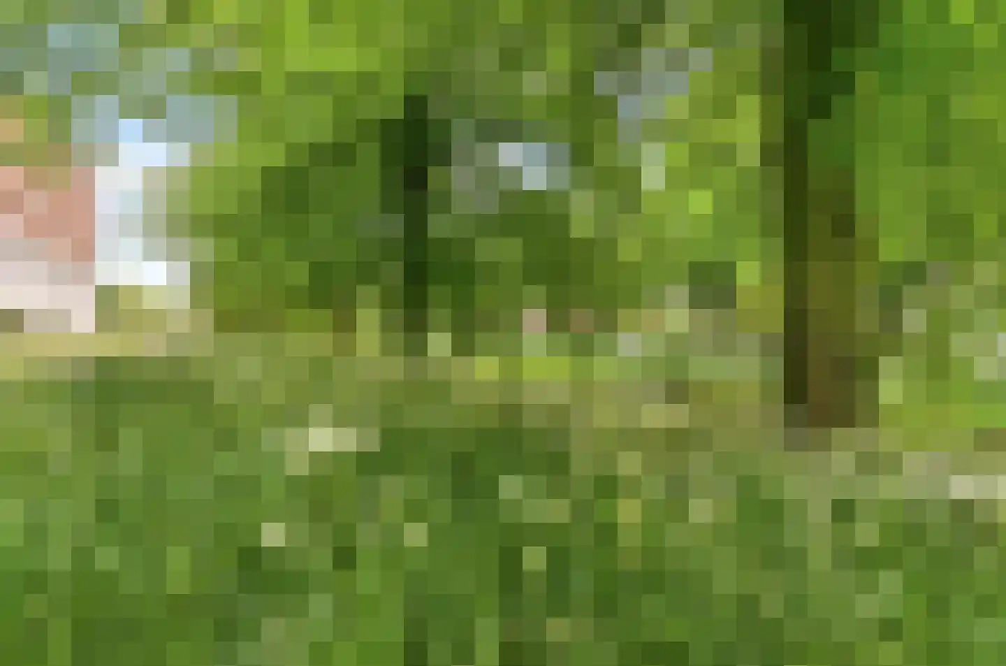 Prinses Ireneplateau 83 Utrecht thumbnail 44