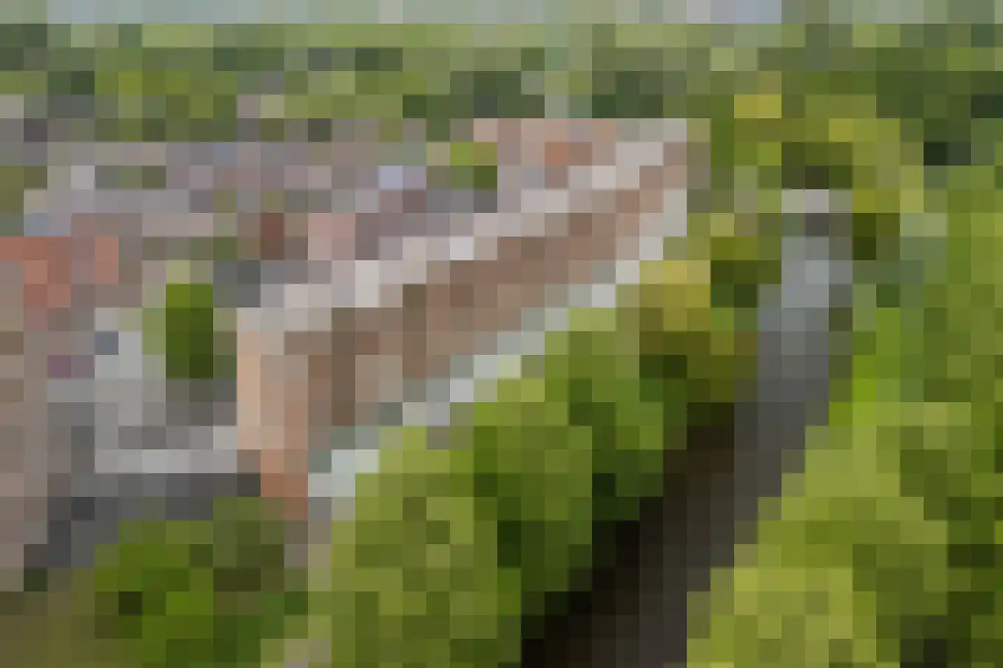 Prinses Ireneplateau 83 Utrecht thumbnail 49
