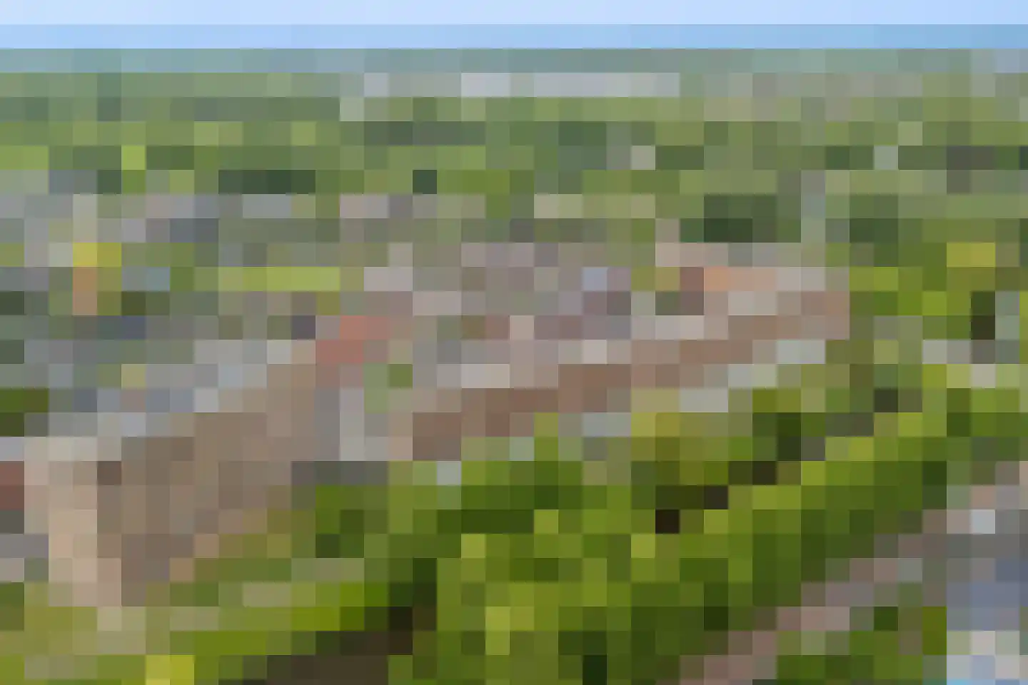 Prinses Ireneplateau 83 Utrecht thumbnail 50
