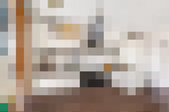 Prinses Ireneplateau 84 Utrecht thumbnail 11