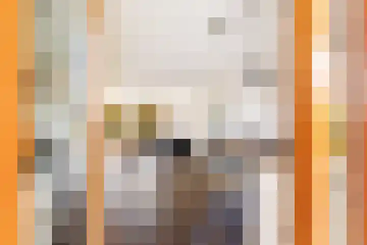 Prinses Ireneplateau 84 Utrecht thumbnail 14