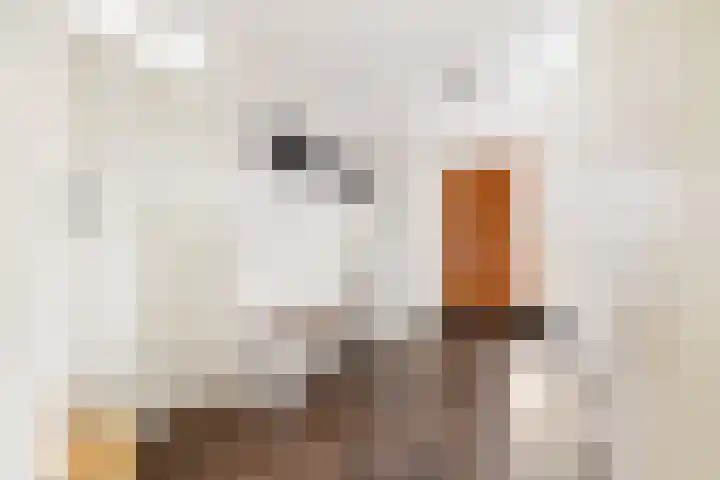 Prinses Ireneplateau 84 Utrecht thumbnail 15