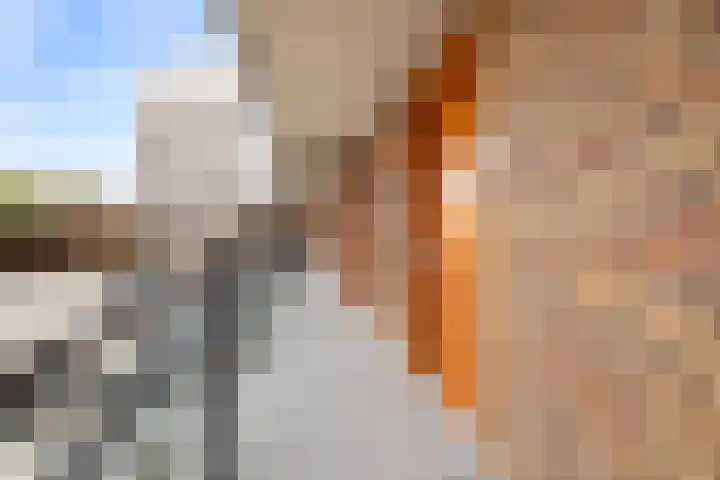 Prinses Ireneplateau 84 Utrecht thumbnail 23