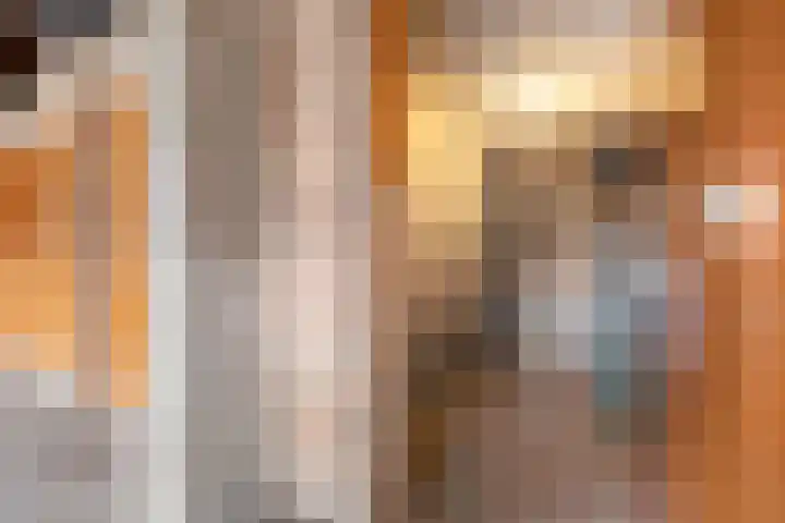 Prinses Ireneplateau 84 Utrecht thumbnail 24