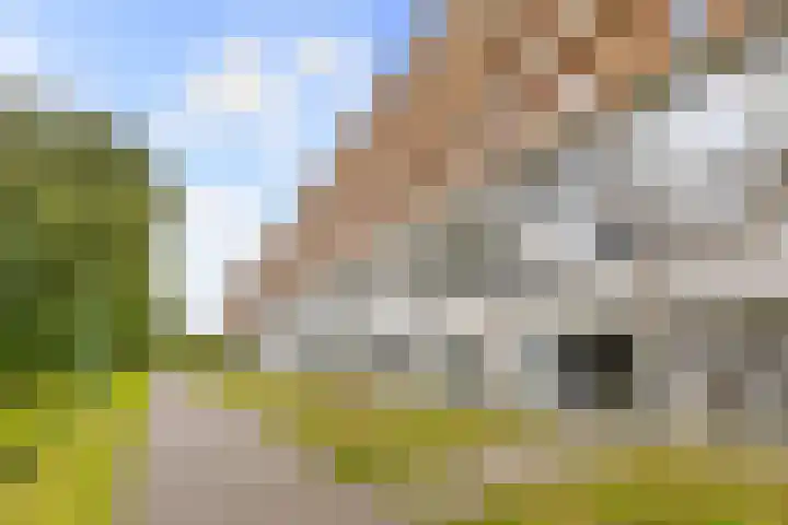 Prinses Ireneplateau 84 Utrecht thumbnail 31