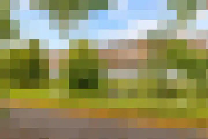 Prinses Ireneplateau 84 Utrecht thumbnail 32