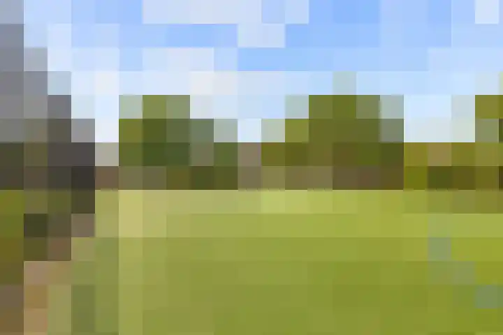 Prinses Ireneplateau 84 Utrecht thumbnail 33