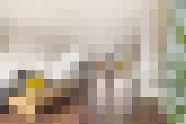 Prinses Ireneplateau 84 Utrecht thumbnail 8