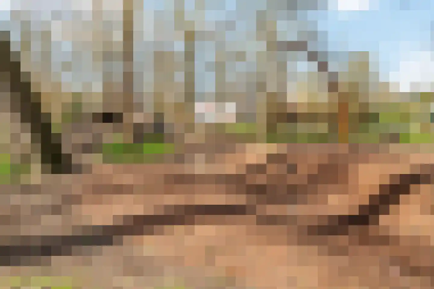 Prinses Ireneplateau 88 Utrecht thumbnail 33