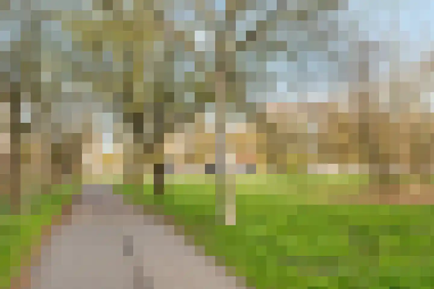 Prinses Ireneplateau 88 Utrecht thumbnail 35